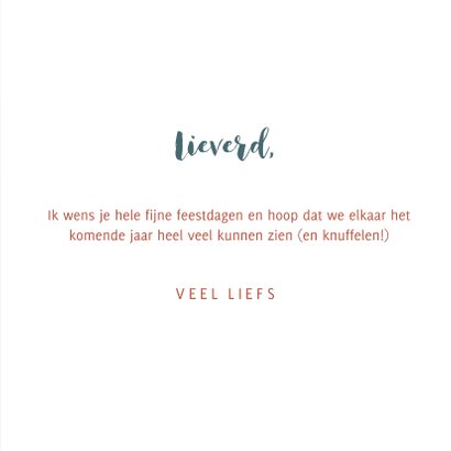 Warme nieuwjaarskaart met de tekst 'ik wens veel samenzijn' 3