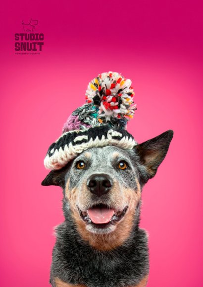 Warme winterse groet van hond met wintermuts 2