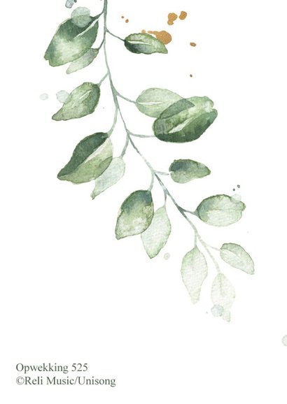 Watercolor kerstkaart Joy to the world 2