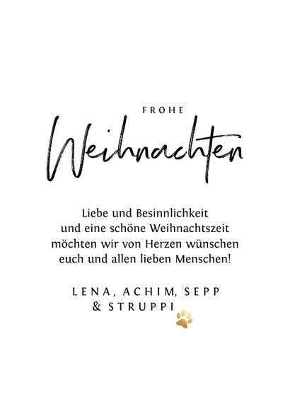 Weihnachts-Fotokarte mit Sternchen 3