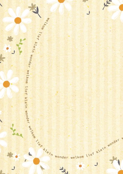 Welkom lief klein wonder-flowers and stripes-geboorte kaart 2