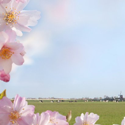 Welkom met voorjaarsbloemen 2