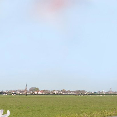 Welkom met voorjaarsbloemen 3