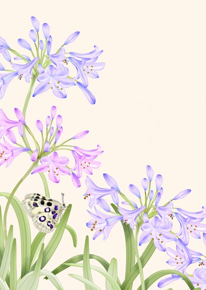 Wenskaart agapanthus bloemen dikke knuffel 2