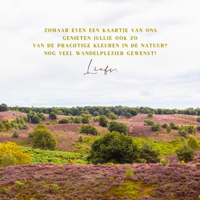 Wenskaart bloeiende heide 3