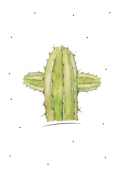 Wenskaart botanisch cactus there is no place like home 3