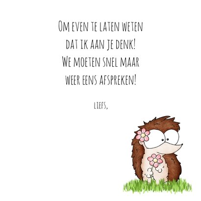 Wenskaart egeltje - Sending a Hedgehug 3
