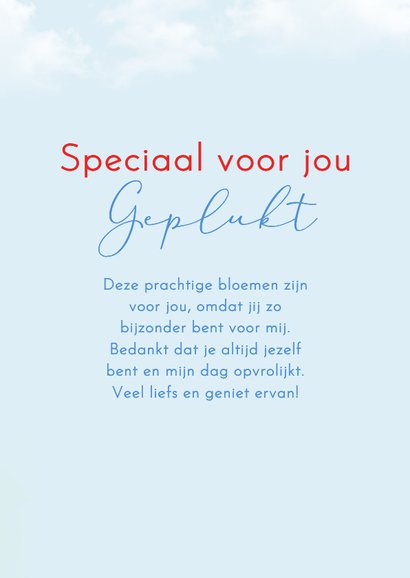 Wenskaart fiets met bloemen 3