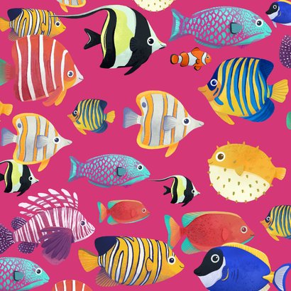 Wenskaart groetjes colorful fishes vissen kleurrijk 2