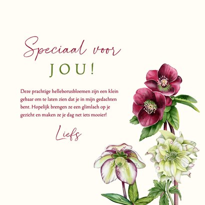 Wenskaart helleborusbloemen 3