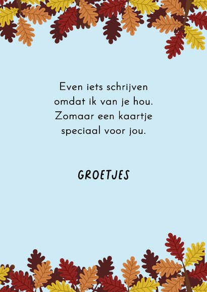 Wenskaart - Herfst Kat op pompoenen 3