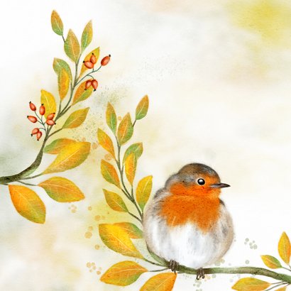 Wenskaart herfstimpressie met roodborstje 2