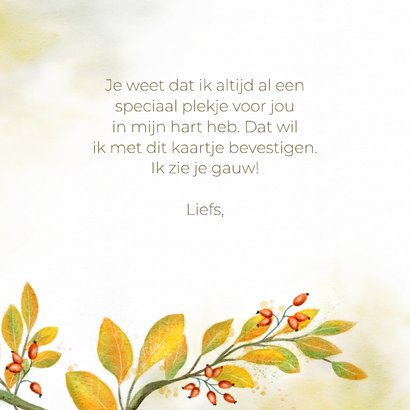 Wenskaart herfstimpressie met roodborstje 3