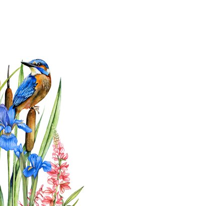 Wenskaart ijsvogels waterkant 2