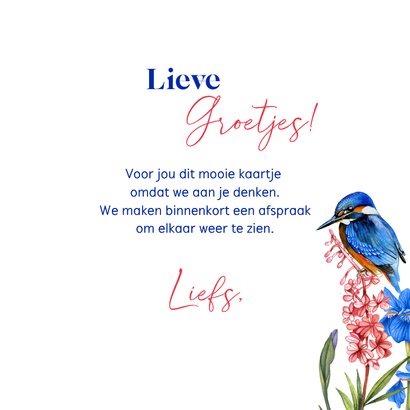 Wenskaart ijsvogels waterkant 3