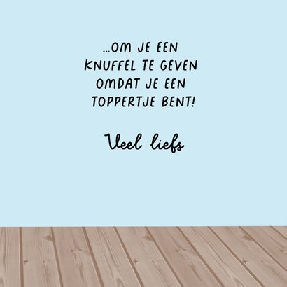 Wenskaart katten knuffels 3