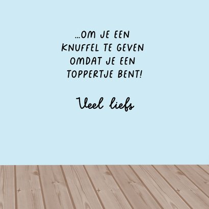 Wenskaart katten knuffels 3