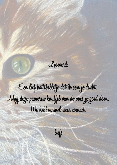Wenskaart met getekende poes 3