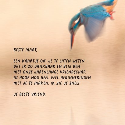 Wenskaart met ijsvogels 3