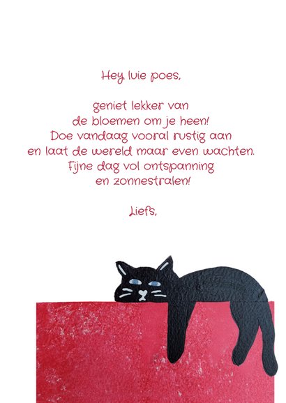 Wenskaart met luie poes 3
