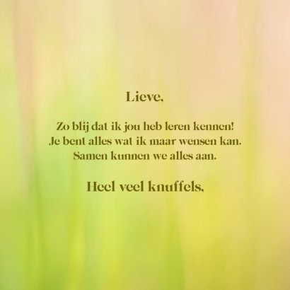 Wenskaart met parende vlinders 3