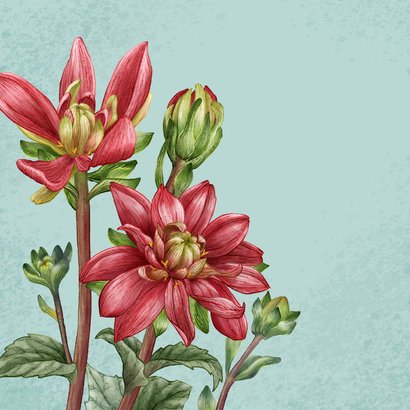 Wenskaart met rode dahlia bloemen liefs en knuffel 2