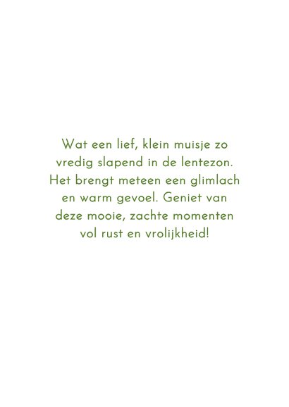 Wenskaart met slapend muisje 3