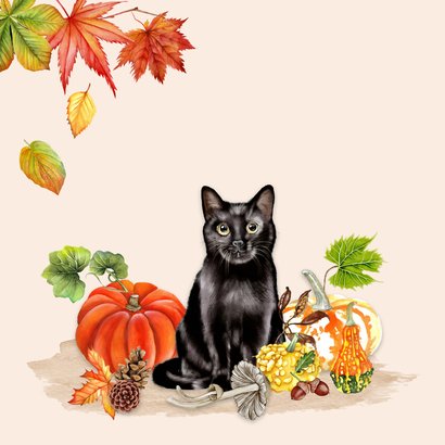 Wenskaart met zwarte kat in de herfst 2