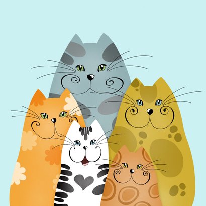 Wenskaart nieuwsgierige katten 2