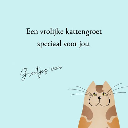 Wenskaart nieuwsgierige katten 3