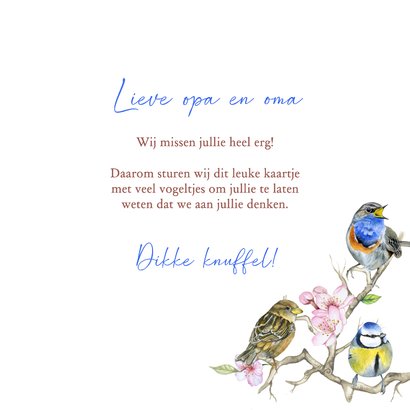 Wenskaart Opa en oma vogeltjes 3