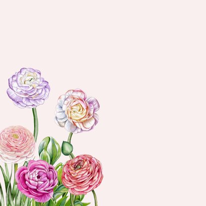 Wenskaart ranonkelbloemen  2
