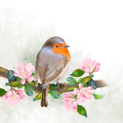 Wenskaart roodborstje met appelbloesem 2
