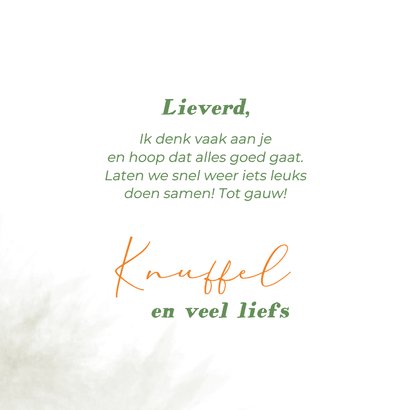 Wenskaart roodborstje met appelbloesem 3