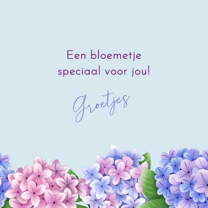 Wenskaart - Roze en blauwe hortensia's 3