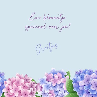 Wenskaart roze en blauwe hortensia's 3