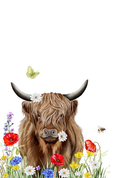 Wenskaart schotse hooglander met veldbloemen 2
