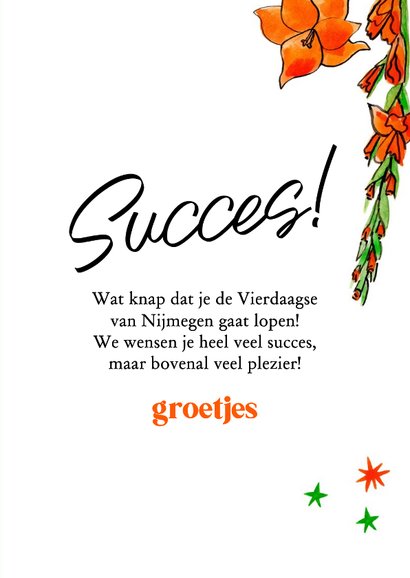 Wenskaart succes vierdaagse Nijmegen gladiolen en strepen 3