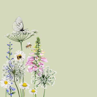Wenskaart veldbloemen vlinder  2