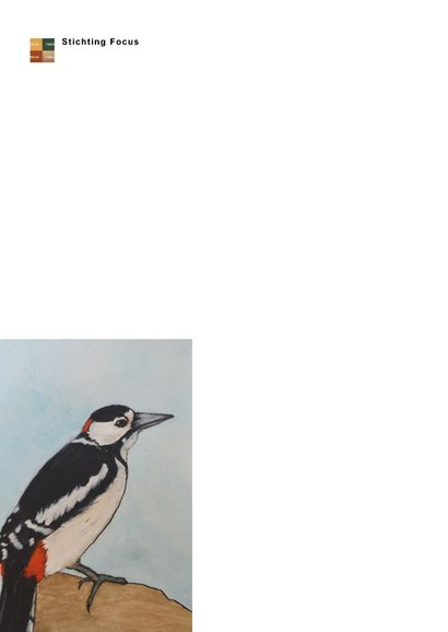 Wenskaart vogel zomaar 2