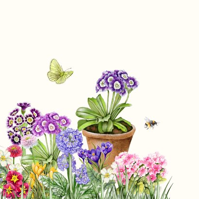Wenskaart voorjaarsbloemen met vlinder en bij 2