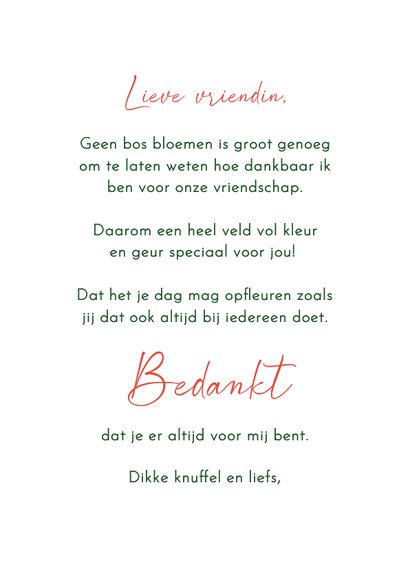 Wenskaart vriendschap tulpenveld met molen 3