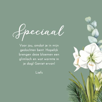 Wenskaart witte amaryllis eucalyptus 3