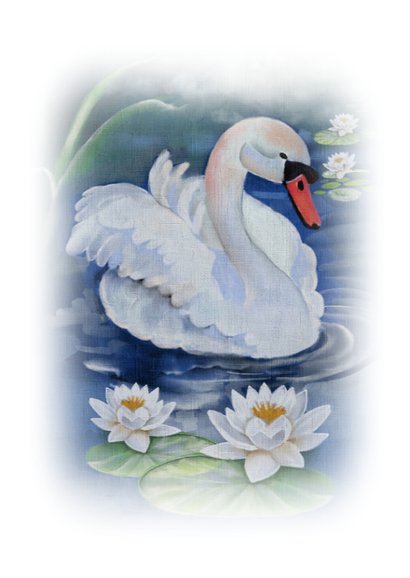 Wenskaart witte zwaan met waterlelies 2