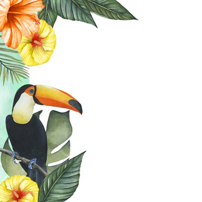 Wenskaart Zomaar tropische vogels 2