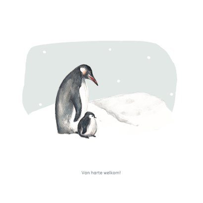Winter geboortekaartje pinguins blauw met sneeuwvlokken 2