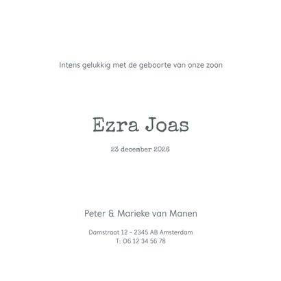 Winter geboortekaartje pinguins blauw met sneeuwvlokken 3