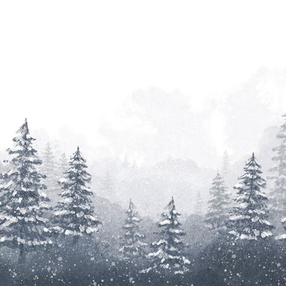 Winter geboortekaartje unisex landschap sneeuw bomen Achterkant