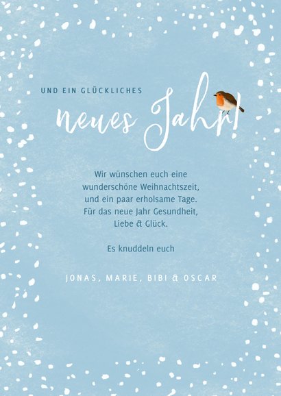 Winterliche Foto-Weihnachtskarte Rotkhelchen 3