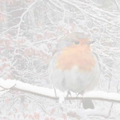 Winters bos met roodborst 2